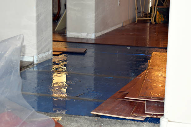 Professional Basement Flood Cleanup technician working in Warwick, MA